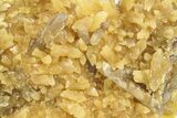 Honey Colored Barite Crystals on Fluorescent Calcite - Elk Creek #240832-2